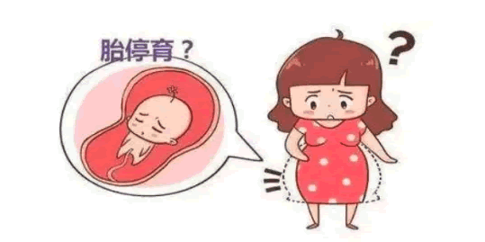 试管婴儿胎停